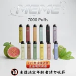韓國爆款 MEME 7000口拋棄式電子煙|16款口味選擇·油電同顯·台灣現貨